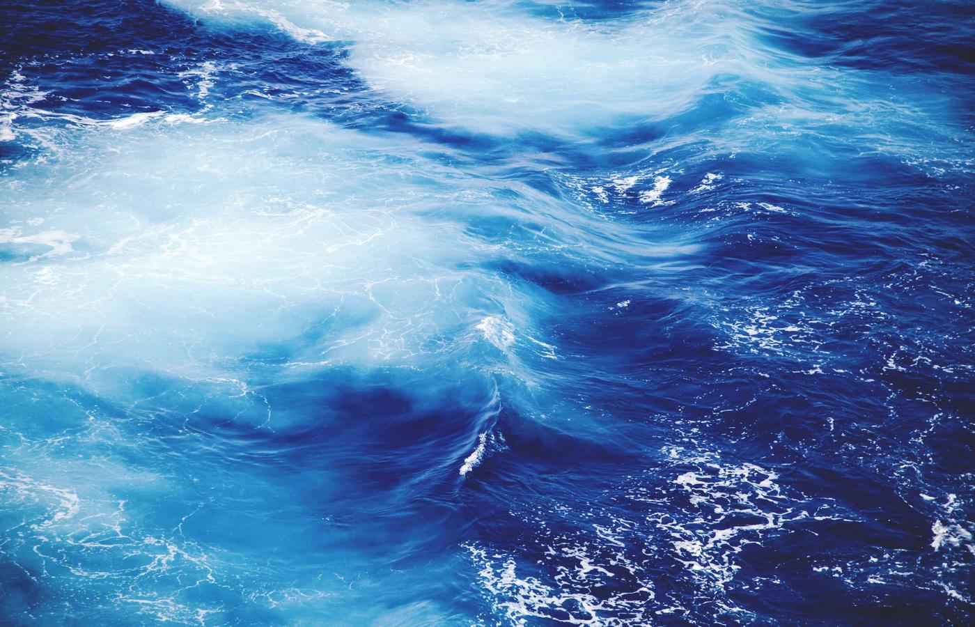 Porträt von Sarah Bauer