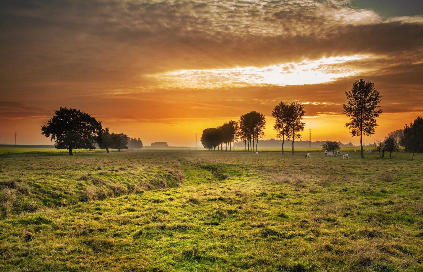 Porträt von Dr. Lena Vogel